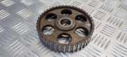 Zahnrad für Nockenwelle Audi 100 (4A, C4) 069109111