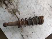 Stoßdämpfer rechts hinten Subaru Legacy V (BM/BR)