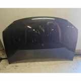 Motorhaube VW TOURAN (1T3) 1.2 TSI