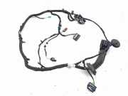 Kabel der vorderen linken Tür BMW 2 Active Tourer (U06) 220i Mild Hybrid 5A41114