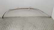 Rechte Dachleistenverkleidung JAGUAR XJ (X350) 2,7 D 2W93-F516-92