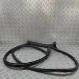 Türdichtungsgummi vorne links VW ARTEON SHOOTING BRAKE (3H9) 1.4 eHydrib 3G8867337