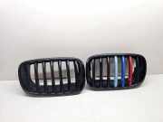 Vorderer oberer Gitter BMW X6 (E71, E72) M