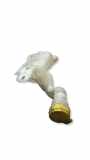Fensterwaschtank RENAULT GRAND SCÉNIC IV (R9_) 1.6 dCi 130 289107594R