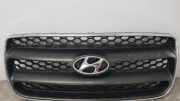 Gitter vorne unten HYUNDAI SANTA FÉ II (CM) 2.2 CRDi GLS