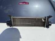 Kühlerluftumlenker MERCEDES-BENZ A (W168) A 160 CDI (168.007) A1685000000