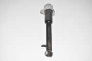Stoßdämpfer links hinten BMW X6 (E71, E72) 6783017