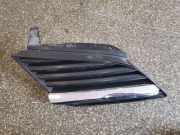 Vorderer oberer Gitter NISSAN PRIMERA (P12) 2.2 dCi 62320AU300