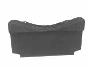 Bodenbelag Kofferraum Lexus IS 3 (E3)