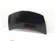 Motorhaube Renault Clio III (BR0/1, CR0/1) 7751476113