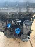 Motor ohne Anbauteile (Diesel) VW Passat B6 (3C2) 038103373R