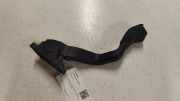 Fahrpedal Citroen C5 II (RC) 0280752251