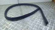 Türgummi links vorne Mercedes-Benz C-Klasse Coupe (C205) A2056920176