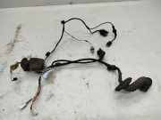 Türverkabelung hinten links RENAULT LAGUNA II Grandtour (KG0/1_) 1.9 dCi 8200276472