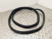 Türdichtung Ford Transit Connect V408 Kasten ()