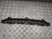 Gitter vorne unten BMW X3 (F25) xDrive 20 d 8048096
