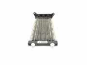 Elektrischer Schulterschulterkühler AUDI A6 (4F2, C6) 2.7 TDI CZ0134100220 4F0819011