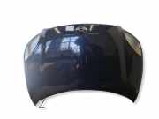 Motorhaube MINI PACEMAN (R61) Cooper D ALL4