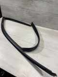 Vordere linke Türdichtungsgummi BMW X6(G06) (G06, F96) xDrive 40 i 7437772