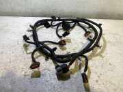 Kabelbaum Hinteren Parksensoren KIA SPORTAGE (QL) 1.6 CRDi 91880F1540