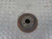 Bremsscheibe hinten links NISSAN JUKE (F15) 1.6 43206JD00A