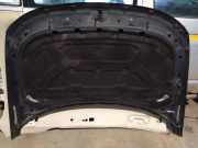 Motorhaube LAND ROVER DISCOVERY III (L319) 2.7 TD 4x4 BKA780110