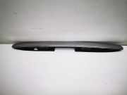 Kennzeichenbeleuchtung MERCEDES-BENZ R (W251, V251) R 320 CDI 4-matic (251.022, 251.122) 2517400593