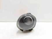 Nebelscheinwerfer links BMW X5 (E53) 3.0 d E9024015