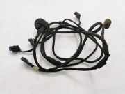 Kabelbaum Vorderen Parksensoren MERCEDES-BENZ R (W251, V251) R 320 CDI 4-matic (251.022, 251.122)