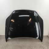 Motorhaube AUDI Q7 (4L) 3.0 TDI quattro 4L0823029A