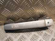 Türaußengriff vorne links