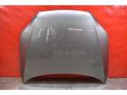 Motorhaube Audi Q7 (4L)