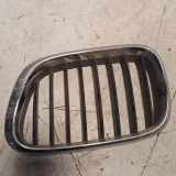 Vorderer oberer Gitter BMW X5 (E53) 3.0 d 51138247675