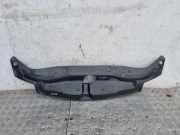 Anzeigetafel Rahmen HONDA CIVIC VIII Hatchback (FN, FK) 1.8 (FN1, FK2) 71125SMGE120