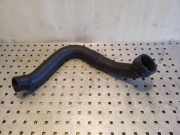 Andere Röhren RENAULT SCÉNIC I (JA0/1_) 1.9 dTi (JA0N)