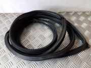 Türgummi rechts vorne Mitsubishi Grandis (NA0W)