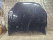 Motorhaube AUDI Q7 (4L) 4.2 TDI quattro 1234