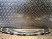 Vorderer oberer Gitter MERCEDES-BENZ S (W220) S 320 CDI (220.026, 220.126) A2208800205 2208800205