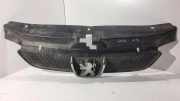 Vorderer oberer Gitter PEUGEOT 406 (8B) 2.0 16V 9631250277