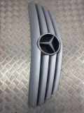 Vorderer oberer Gitter MERCEDES-BENZ B (W245) B 200 CDI (245.208) A1698800183