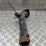 Halter für Pralldämpfer Mini Mini (R50, R53) 6757911