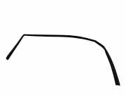 Türgummi links vorne Hyundai Tucson III (TL, TLE)