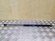 Heckklappe Gasdruckfeder links LAND ROVER FREELANDER 2 (L359) 2.2 TD4 4x4 6H52406A10AF