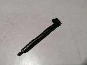 Düsenstöcke Chevrolet Captiva (C100, C140) 25195089