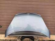 Motorhaube CITROËN C4 Picasso I (UD_) 1.6 HDi 110