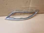 Stoßstangenierleiste hinten links