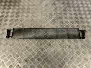 Gitter vorne unten PORSCHE MACAN (95B) 3.0 S 95B820746A