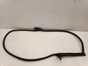 Türgummi links vorne VW Arteon (3H) 3G8867337