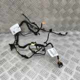 Türverkabelung hinten links AUDI A8 D4 (4H_) 3.0 TDI quattro 4H0971693AE