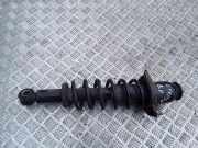 Stoßdämpfer hinten rechts TOYOTA COROLLA Verso (_E12_) 2.0 D-4D (CDE120_) N5522070G